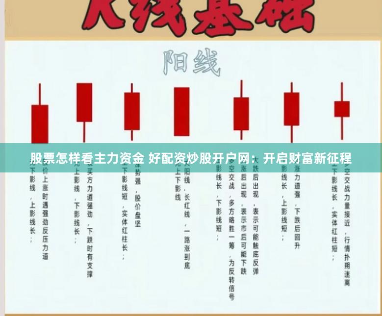 股票怎样看主力资金 好配资炒股开户网：开启财富新征程