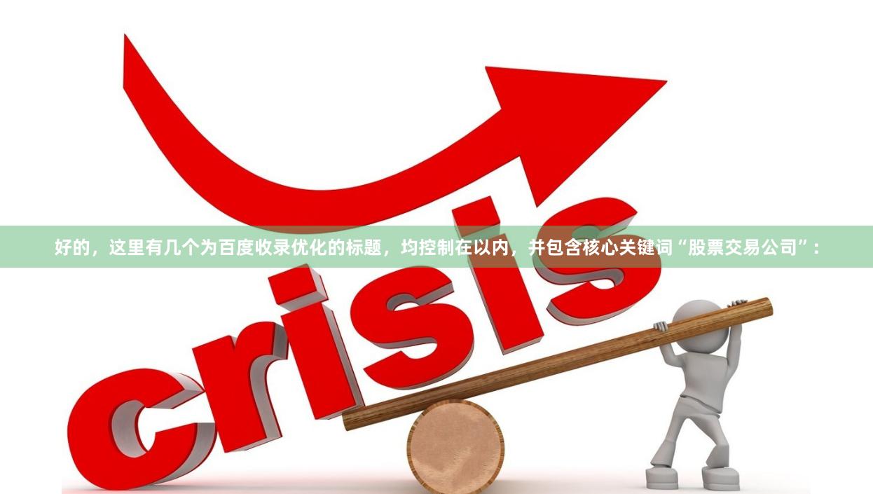 好的，这里有几个为百度收录优化的标题，均控制在以内，并包含核心关键词“股票交易公司”：